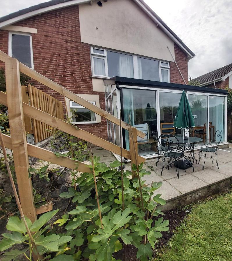 Garden Apartment 牛顿阿伯特 外观 照片